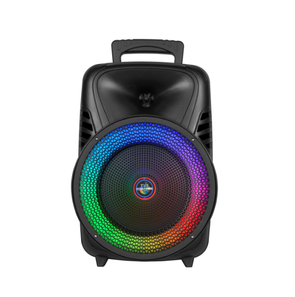CH-855 Loud Outdoor Hifi Subwoofer