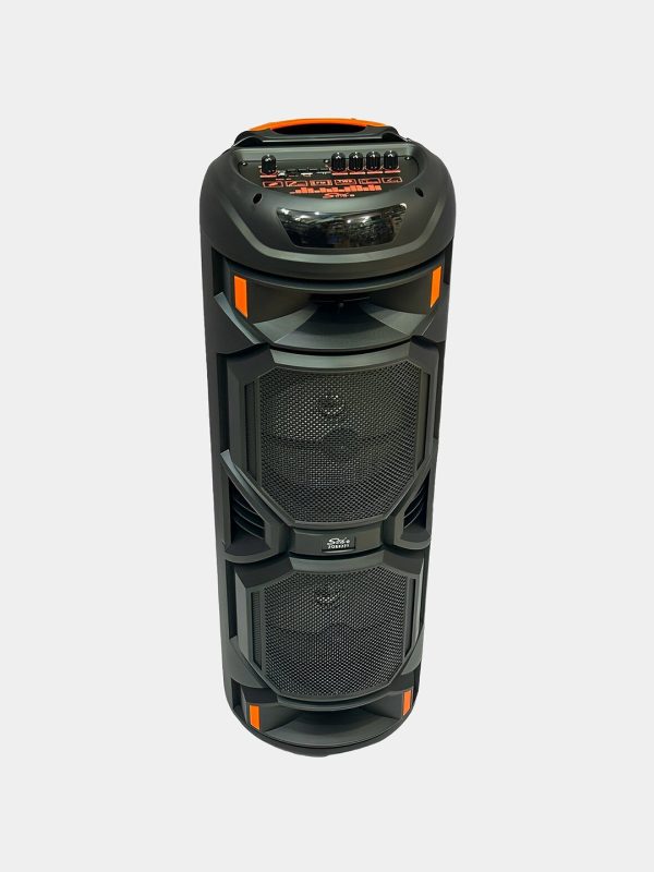 Караоке колонка bluetooth Sing-e ZQS-8221, с беспроводным микрофоном, 80 см